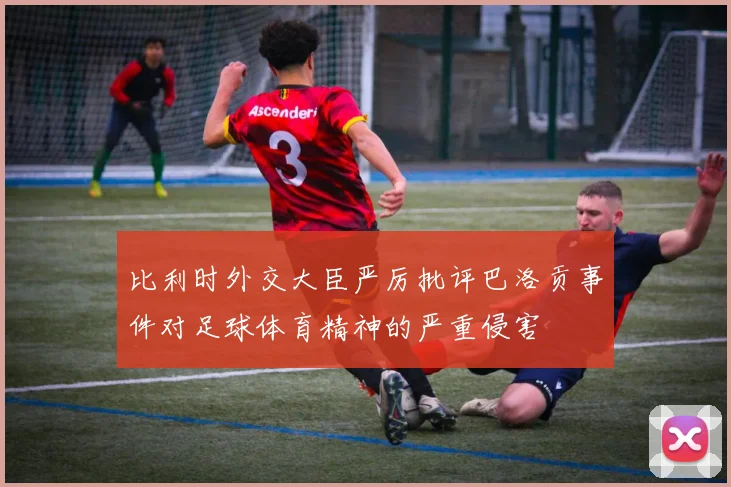 比利时外交大臣严厉批评巴洛贡事件对足球体育精神的严重侵害